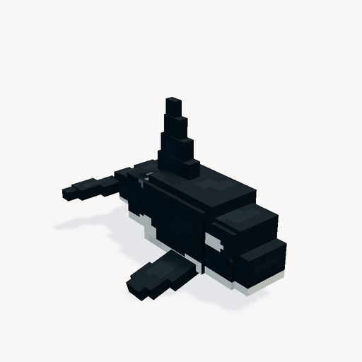 Orca del océano abierto — Vista previa del modelo 3D