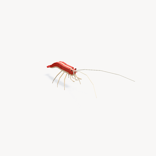 กุ้งทำความสะอาดสีแดง — ตัวอย่างโมเดล 3D