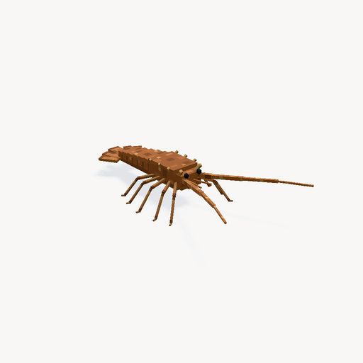 กุ้งมังกรหนาม — ตัวอย่างโมเดล 3D